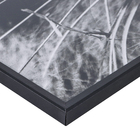 Quadro Leão Preto com Vidro 100x70cm Arte Própria