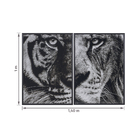 Quadro Leão Preto com Vidro 100x70cm Arte Própria