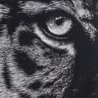 Quadro Leão Preto com Vidro 100x70cm Arte Própria