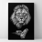Quadro Leão Preto E Branco - 1 Tela