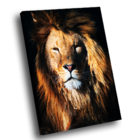 Quadro Leão Reluzente -- Br Artes