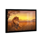 Quadro Leão Savana  -- Br Artes