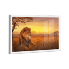 Quadro Leão Savana  -- Br Artes