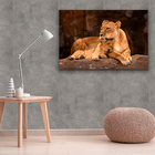 Quadro Leoa E Filhote -- Br Artes Grande 118x78