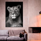 Quadro Leoa No Preto -- Br Artes Médio 84x54