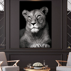 Quadro Leoa No Preto -- Br Artes Médio 84x54