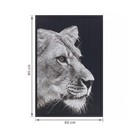 Quadro Leoa Preto 60x90cm Arte Própria