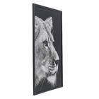 Quadro Leoa Preto 60x90cm Arte Própria