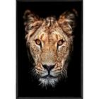 Quadro Leoa Retrato 70x50 - Casa Da Moldura