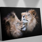 Quadro Leões Gêmeos - 1 Tela