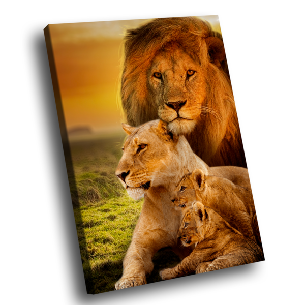 Quadro Leões Harmonia -- Br Artes Pequeno 60x40