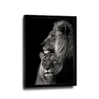 Quadro Leões Sintonia -- Br Artes