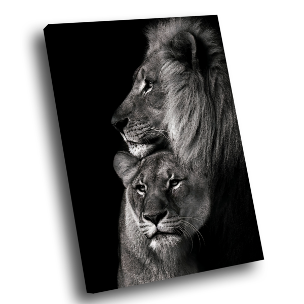 Quadro Leões Sintonia -- Br Artes Grande 118x78