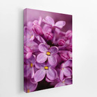 Quadro Lilás Violeta Flores Fotografia Canvas 140x90cm