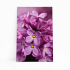 Quadro Lilás Violeta Flores Fotografia Canvas 60x40cm