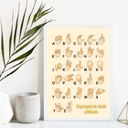 Quadro Linguagem De Sinais Alfabeto Em Libras 45x34cm - Com V