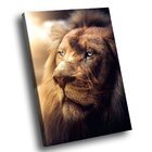 Quadro Lion Profile Médio 84x54
