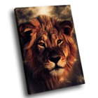 Quadro Lion Stronger -- Br Artes