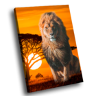 Quadro Lion Summer -- Br Artes