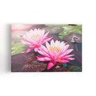 Quadro Lírio Da Água Rosa Flor Natureza Canvas 120x80cm