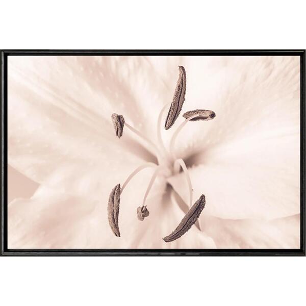 Quadro Lirio Sépia Close 120x80 - Casa Da Moldura