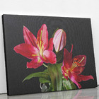 Quadro Lírio Tarrango Flores Fotografia Canvas 100x70cm