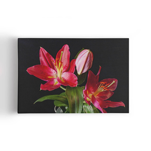Quadro Lírio Tarrango Flores Fotografia Canvas 140x90cm