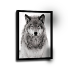 Quadro Lobo -- Br Artes