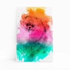 Quadro Lulu Da Pomerânia Cachorro Aquarela Canvas 60x40cm
