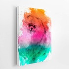 Quadro Lulu Da Pomerânia Cachorro Aquarela Canvas 60x40cm