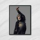 Quadro Macaco Performance 33x24cm - Com Vidro Moldura:madeira