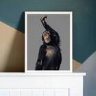 Quadro Macaco Performance 45x34cm - Com Vidro Moldura:madeira