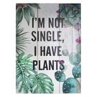 Quadro Madeira Plants 25x35x3 5 - Urban