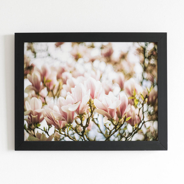 Quadro Magnólia Yulan Rosa Flor China Moldura Preta 60x40cm