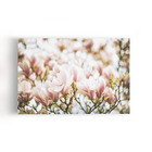 Quadro Magnólia Yulan Rosa Flor Chinesa Canvas 100x70cm