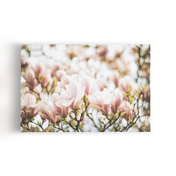 Quadro Magnólia Yulan Rosa Flor Chinesa Canvas 120x80cm