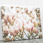 Quadro Magnólia Yulan Rosa Flor Chinesa Canvas 120x80cm