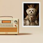 Quadro Maltês Rainha Da Casa 33x24cm Moldura Preta