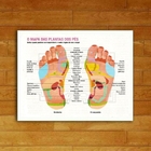 Quadro Mapa Reflexologia podal 45x34cm Moldura:madeira Preta