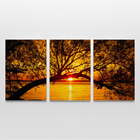 Quadro Mar Árvore Pôr Do Sol - Kit 3 Telas