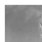 Quadro Marilyn Vestido De Renda Uniart Preto & Branco 45x45cm