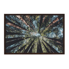 Quadro Mata Perspectiva II Verde 90x60cm Inspire