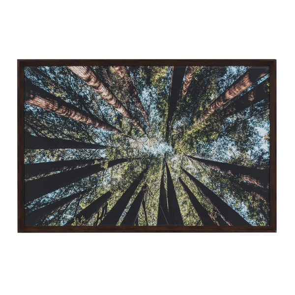 Quadro Mata Perspectiva II Verde 90x60cm Inspire