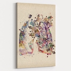 Quadro Medicina - 1 Tela Estampado