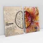 Quadro Mente Humana - Kit 2 Telas