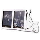 Quadro Mergulho Decoração Criativa Casa Presente Aparato Merg