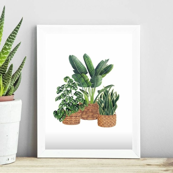 Quadro Minimalista Vaso De Plantas 45x34cm - Com Vidro Moldur