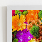 Quadro Mix Colorido De Flores Foto Moldura Branca 60x40cm