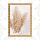 Quadro Moldura Dourada Capim Dos Pampas 45x34cm Acabamento:co