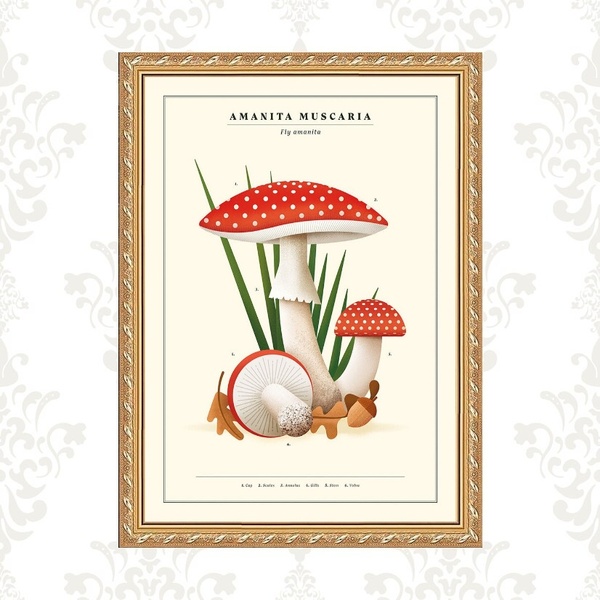 Quadro Moldura Dourada Cogumelos Vintage 24x18cm Acabamento:c